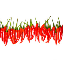 NPK coated Red pepper special fertilizers